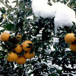 Hrátky matky přírody